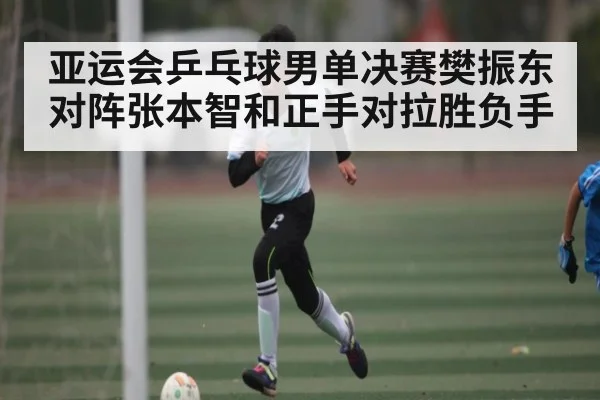 亚运会乒乓球男单决赛樊振东对阵张本智和正手对拉胜负手